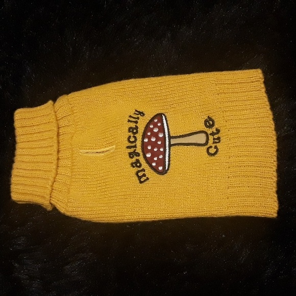 Cat / Dog Sweater "Magically Cute" 🍄 Shroom Adorable Mustard yellow embroidered - Picture 2 of 6